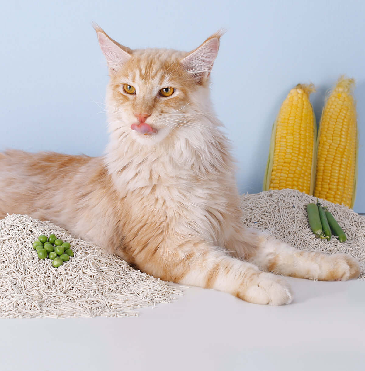 Arena para Gatos 3 en 1 – Mezcla de Bentonita Triturada y Tofu Natural