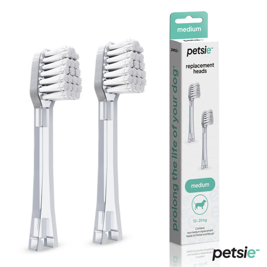 Repuestos de Cepillo de Dientes Petsie – 2 Cabezales (Tamaño M · 10–20 kg)